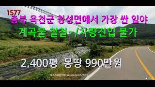 [번호 1577}충북 옥천군에서 가장 싼 임야 총990만원