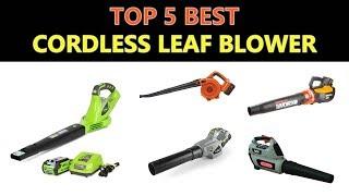 Best Cordless Leaf Blower 2019 - 2020