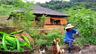 A Life of a  Simple Filipina living in the  Farm