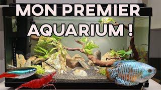 Je fais mon premier (vrai) aquarium