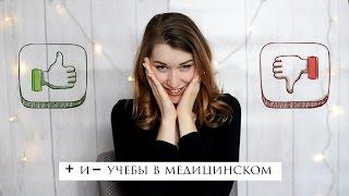 ПЛЮСЫ и МИНУСЫ  учёбы в медицинском университете
