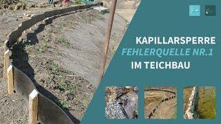 Der FEHLER im Teichbau - Die Kapillarsperre (Teichrand)