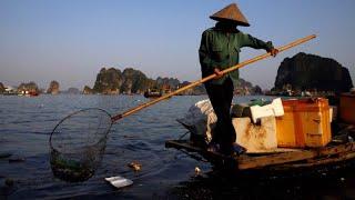 Berühmte Halong-Bucht in Vietnam – Kampf dem Kunststoffmüll