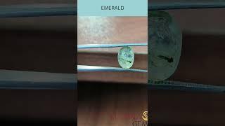 EMERALD   CNO   124636  WT 3 16 CT