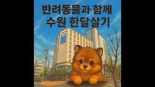 수원에서 반려동물과 한달살기