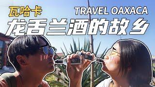 Chinese couple travel Mexico: Kiss Mezcal in Oaxaca