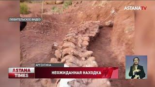 Ученые нашли останки крупнейшего на Земле динозавра