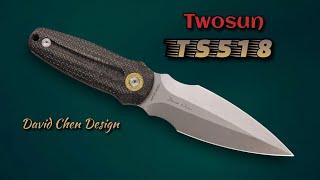 TwoSun TS518 Dagger:  Great Budget Tactical Double-Edge - Point Up or Down!