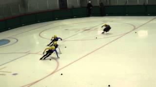 Toronto Speed Skating Club