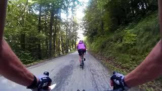 Col du Mollard Descent to Villargondran, Cycling in Alps, France, HD