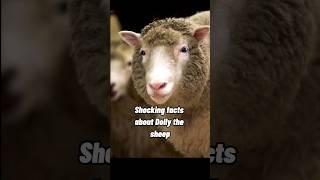 Shocking facts about the first cloned animal #shorts #clone #dolly #shockingfacts