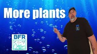 UNBOXING DUSTIN'S FISH TANKS AQUATIC PLANTS