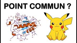 Pikachurine : Point commun entre Pikachu et une protéine de la rétine