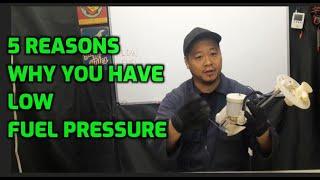 5 REASONS WHY FUEL PRESSURE IS LOW