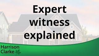 What is an expert witness?