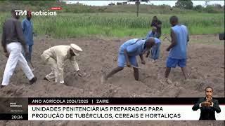 Ano agricola 2024/2025 - Unidades penitenciárias preparadas para produção de tubérculos, cereais