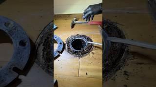 Lowering and replacing the toilet flange