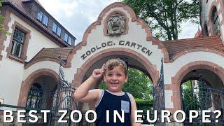 A Day at the Leipzig Zoo: Europe's Top Wildlife Experience