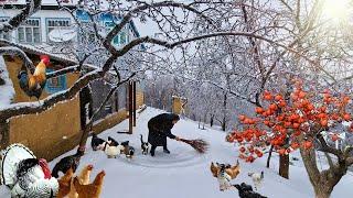 It's Snowing in a Mountain Village in Azerbaijan.  @Kənd Dadı | A Taste of the Village