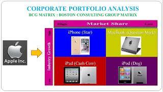 26 - Corporate Portfolio Analysis