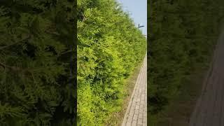 Ваша идеальная прогулка начинается здесь: Берег Песочной