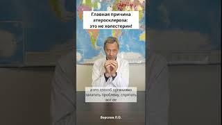 Главная причина атеросклероза: это не холестерин!