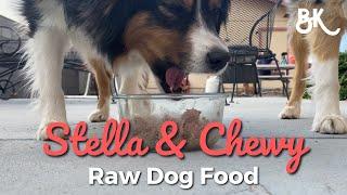 Trying Stella & Chewy's Raw Dog Food Patties | The BK Pets