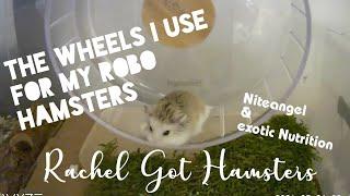 Roborovski Hamster Wheel Review // which wheels my robos currently use!