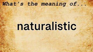 Naturalistic Meaning : Definition of Naturalistic