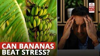 China's Latest Anti-stress Hack: Are Desk Bananas The Next Big Thing?