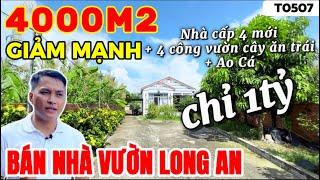 Bán Nhà vườn Long An | nhà cấp 4 mới + 4000m2 vườn cây ăn trái Ao cá | Nhà vườn 365 | T0507