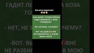 #флора #психология #отношения #любовь #семья #топ #популярное #тикток #лайк #интервью #жизнь #факты#