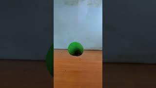 Clay Stop motion Animation