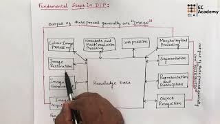 DIP#3 Fundamental steps in Digital image processing || EC Academy