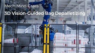 3D Vision-Guided Bag Depalletizing with Mech-Mind