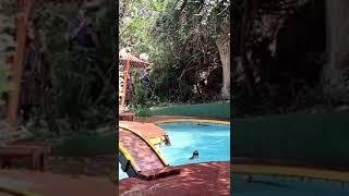 Monkeys having fun! 