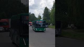 МАЗ-203Респект водителю!#maz #automobile #liaz