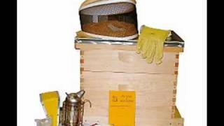 Beekeeping Tips