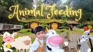 Kaira Visited Cimory Forestwalk
