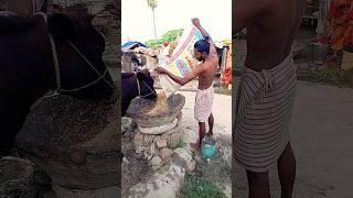 desi desi desi style bittu sharma.2023 #desi #new #viralvideo #song