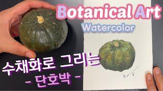 Pumpkin painted with botanical art watercolor / Botanical art watercolor tutorial