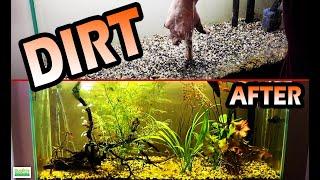 DIRT SUBSTRATE Aquarium. 30 Days Later- Planted Aquarium