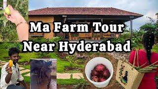 Ma Farm Tour|Near Hyderabad #farm #farmhouse #farming #viralvideo #viralshorts #trending #shorts