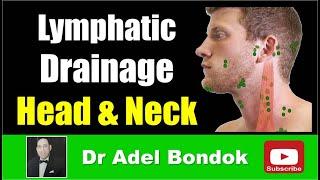 Lymphatic Drainage of the Head and Neck, Dr Adel Bondok