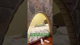 중국 장수성 창주공룡랜드 中国江苏省 常州恐龙园 #중국 #중국여행 #상해 #상해여행 #창주여행 #창주공룡랜드 #창주공룡원 #中国 #中国旅行 #上海 #上海旅行 #常州旅行 #常州恐龙园