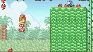 Super Mario Advance - Super Mario 2 World 1 Lv. 1-3