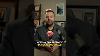 How to Troubleshoot a Cardano (ADA) Wallet : 5 Tips!