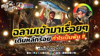 สล็อต สล็อตpg สล็อตเว็บตรง เว็บตรงไม่ผ่านเอเย่นต์ สล็อตแตกง่าย | สล็อตนักล่าฉลามPG