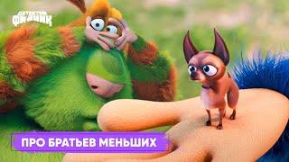 Детектив Финник - Про братьев меньших I ПРЕМЬЕРА