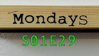 Microscopic Mondays S01E29 Wood Dog food